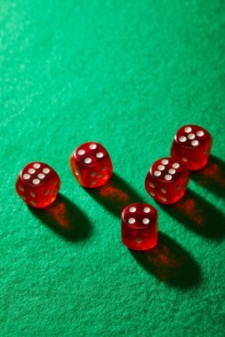 koki toto Ikan Jackpot interface and statistics